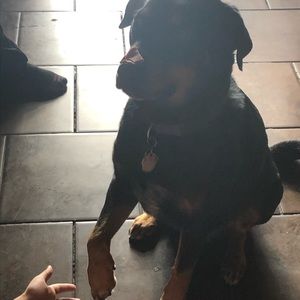 Meet your Posher, Victoria